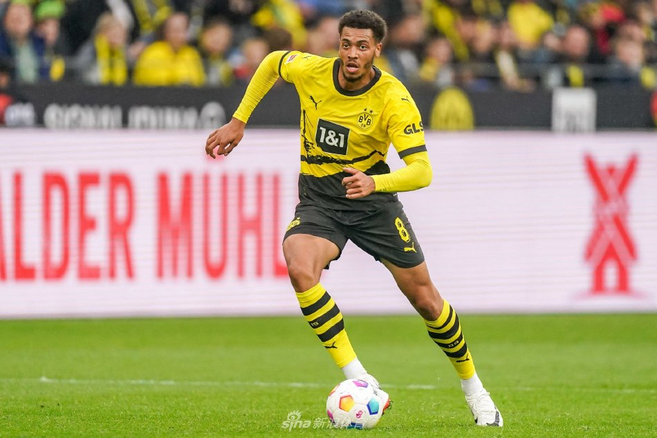 粮食是人类 粮食是人类